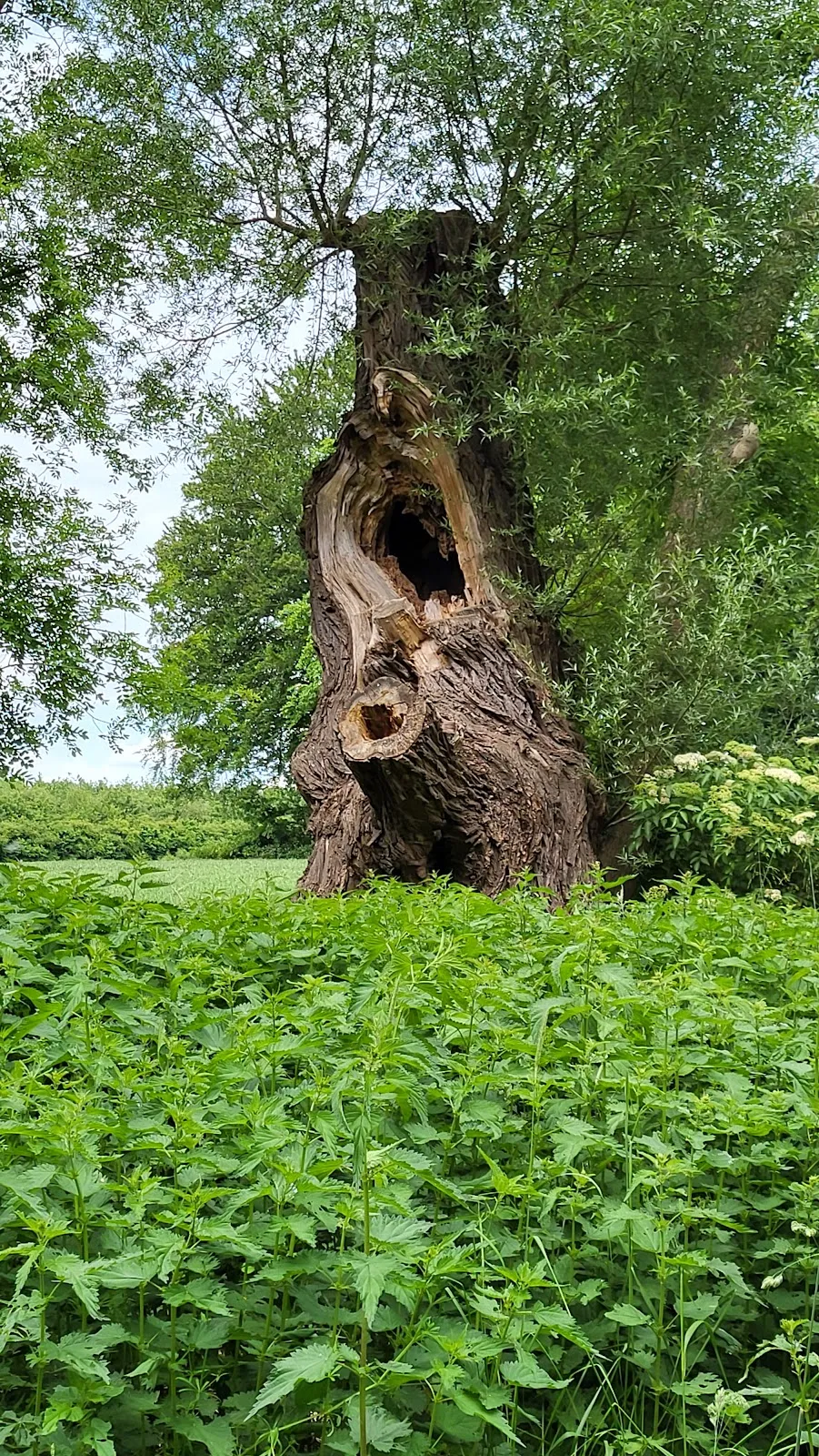 Здание Альте Кёрне в Дортмунде