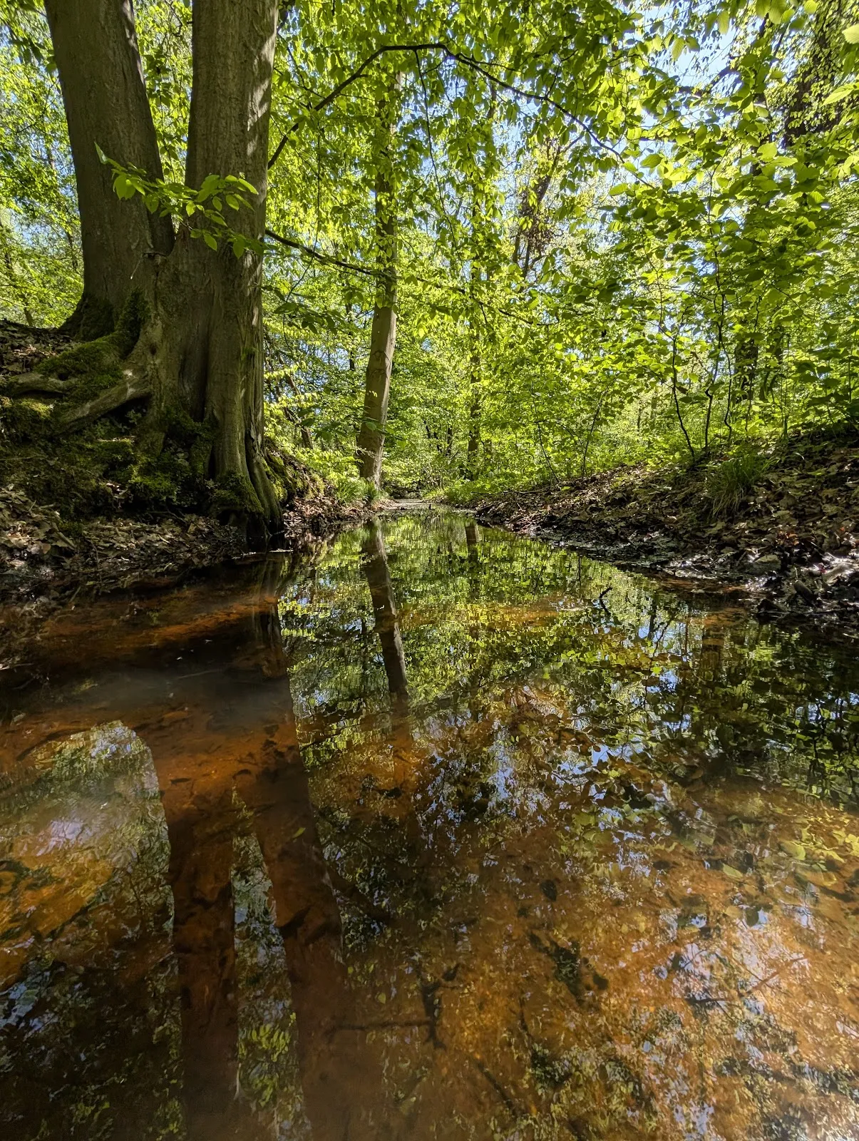 Здание Альте Кёрне в Дортмунде