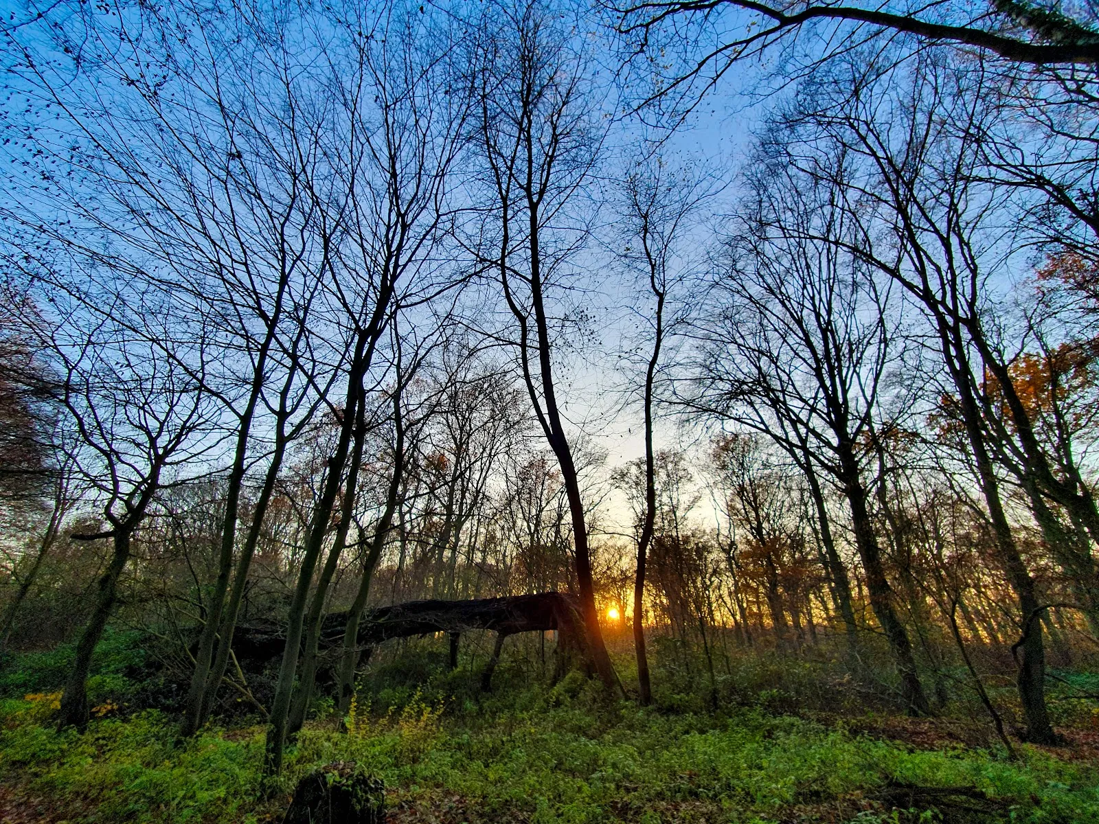 Здание Альте Кёрне в Дортмунде