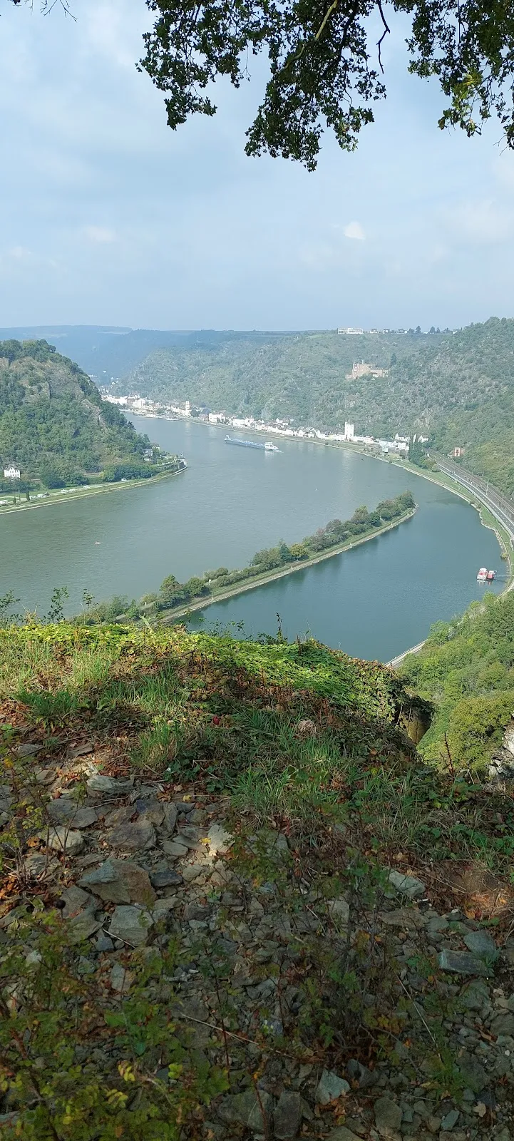 Новая статуя Лорелеи на живописном плато над рекой Рейн