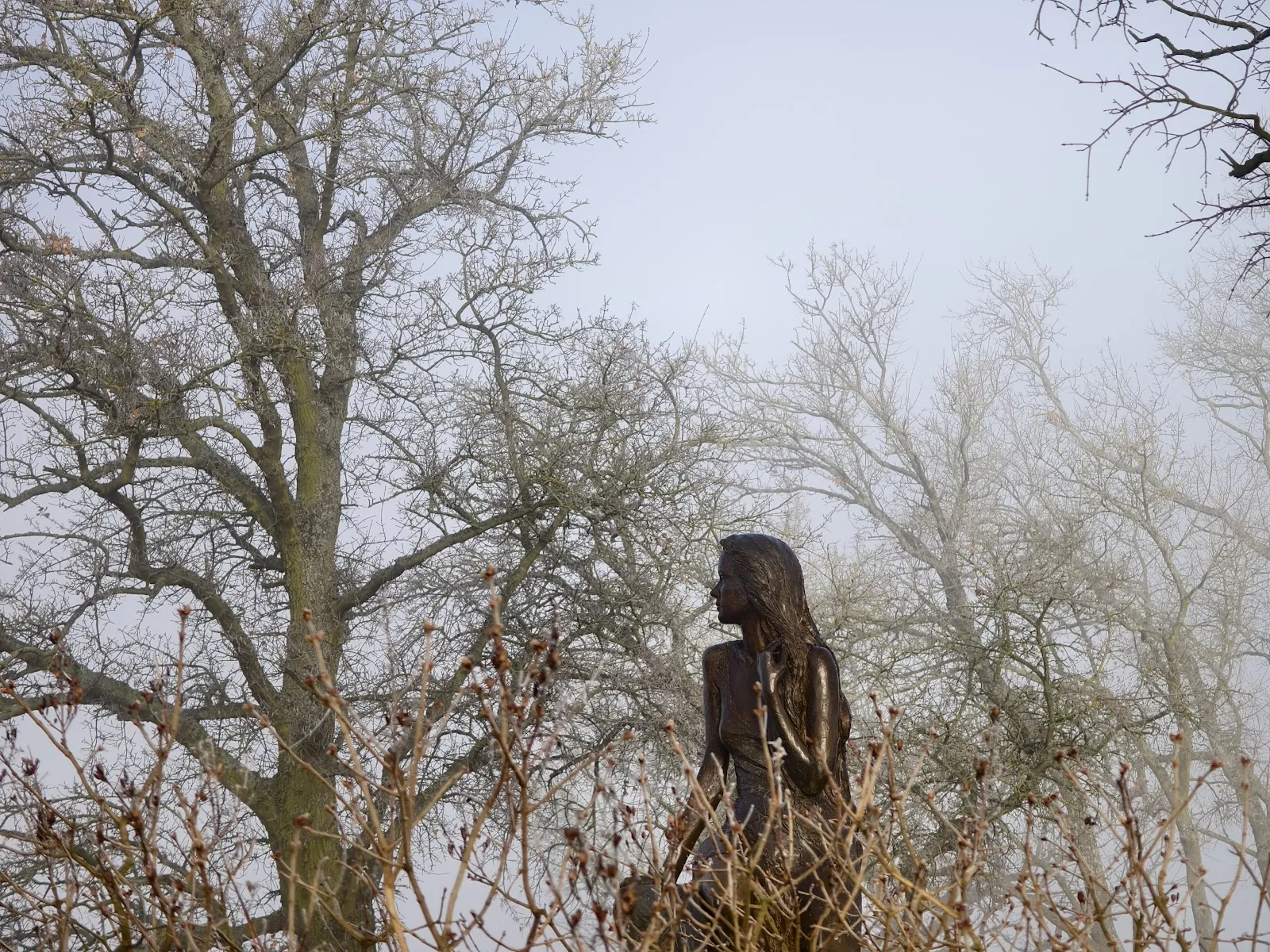 Новая статуя Лорелеи на живописном плато над рекой Рейн