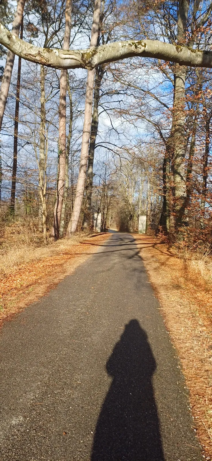 Столбы бывшего зверинца в Бернриде, Германия