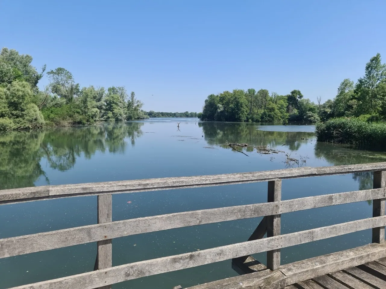 Затопленный лес в заповеднике Таубергюссен