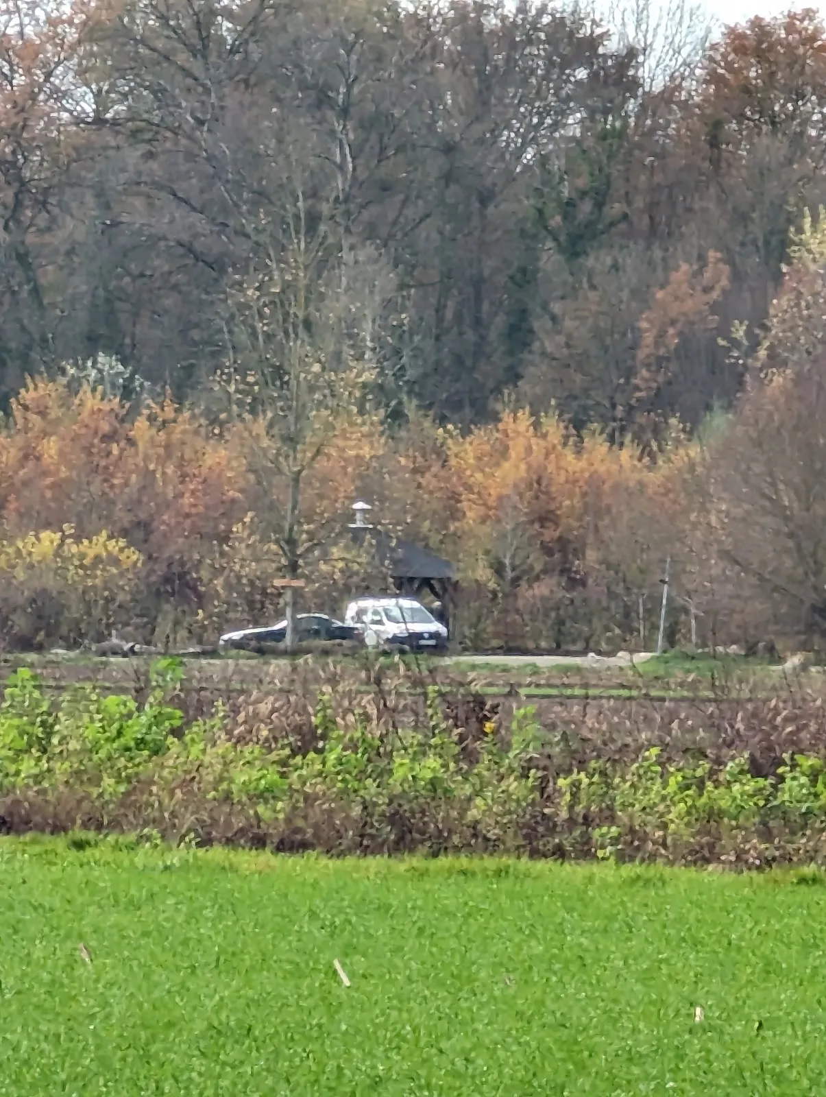 Затопленный лес в заповеднике Таубергюссен