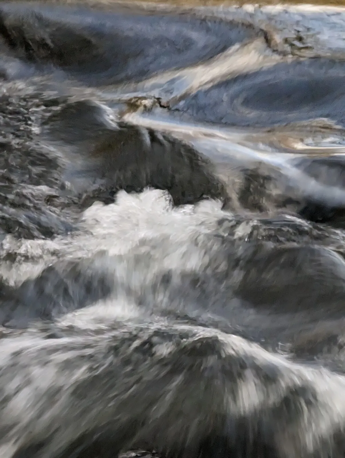 Затопленный лес в заповеднике Таубергюссен