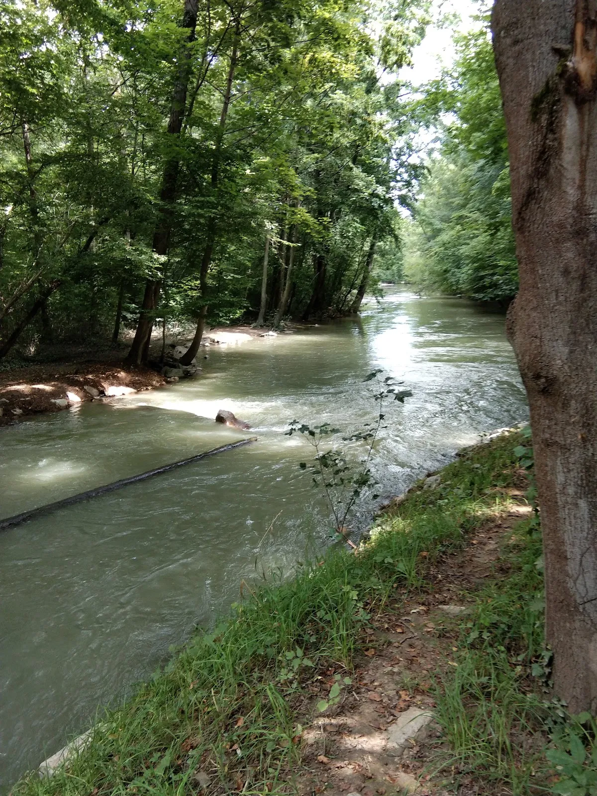 Затопленный лес в заповеднике Таубергюссен