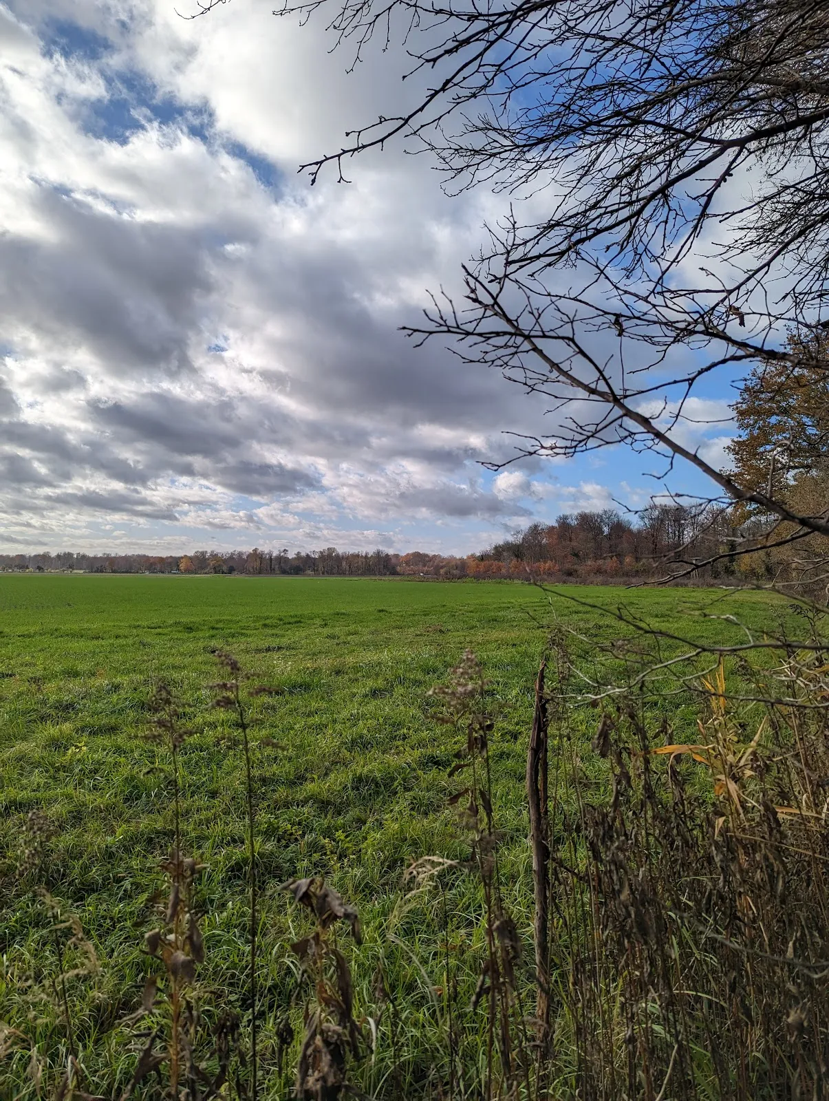 Затопленный лес в заповеднике Таубергюссен