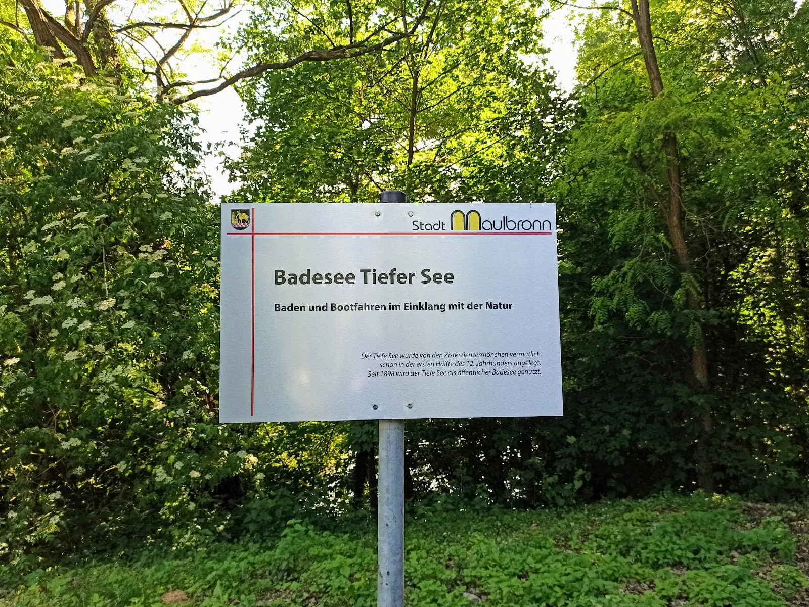 Вид на тихий водоем 