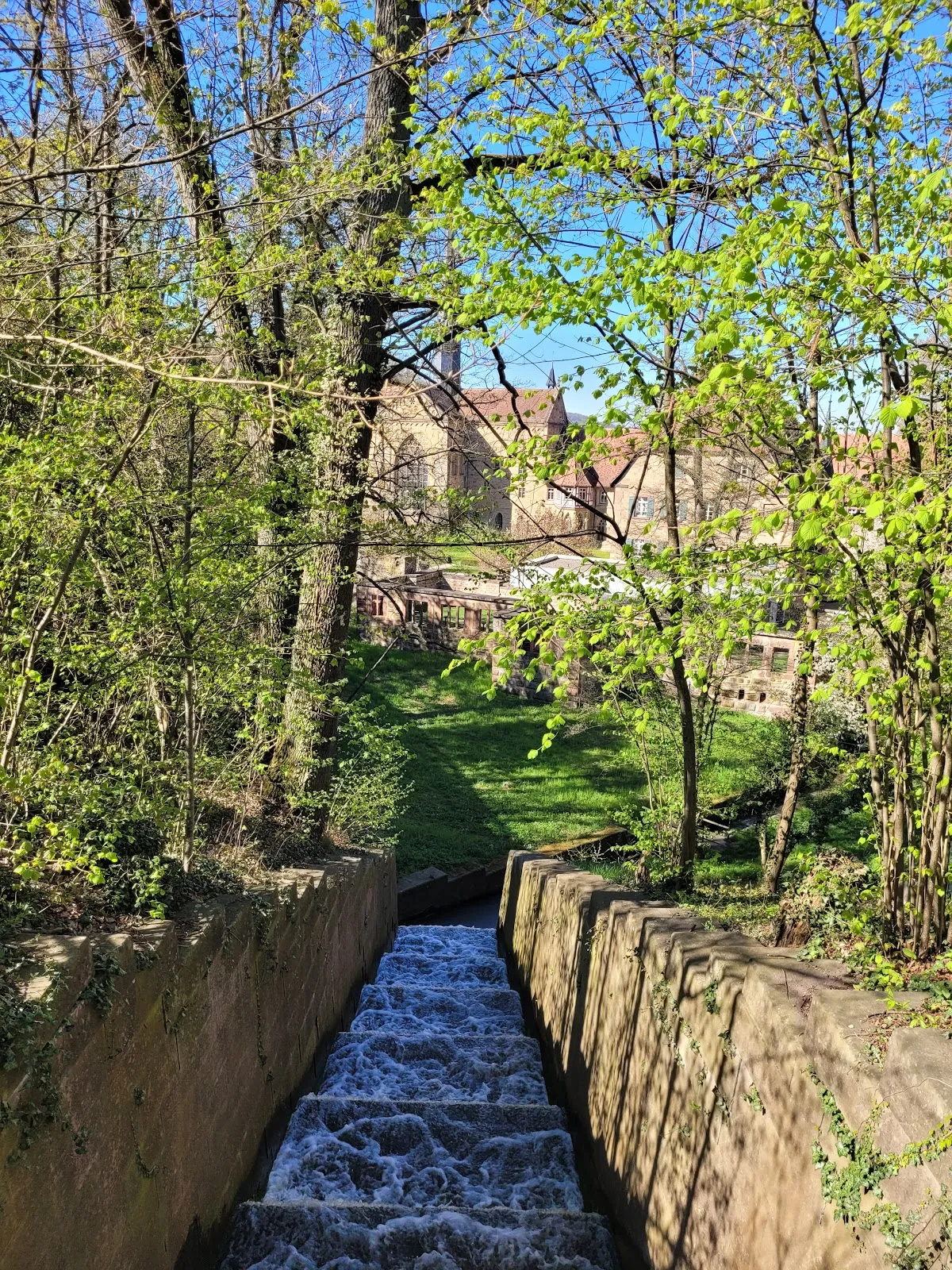 Вид на тихий водоем 