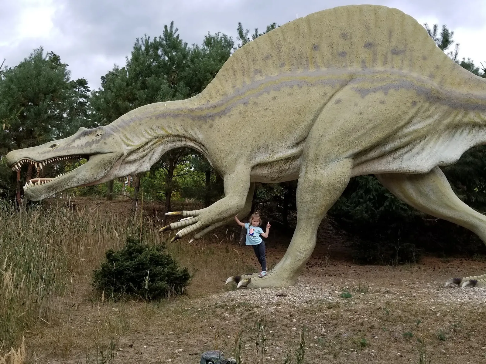 Тир, парк развлечений и парк дикой природы Гермендорф