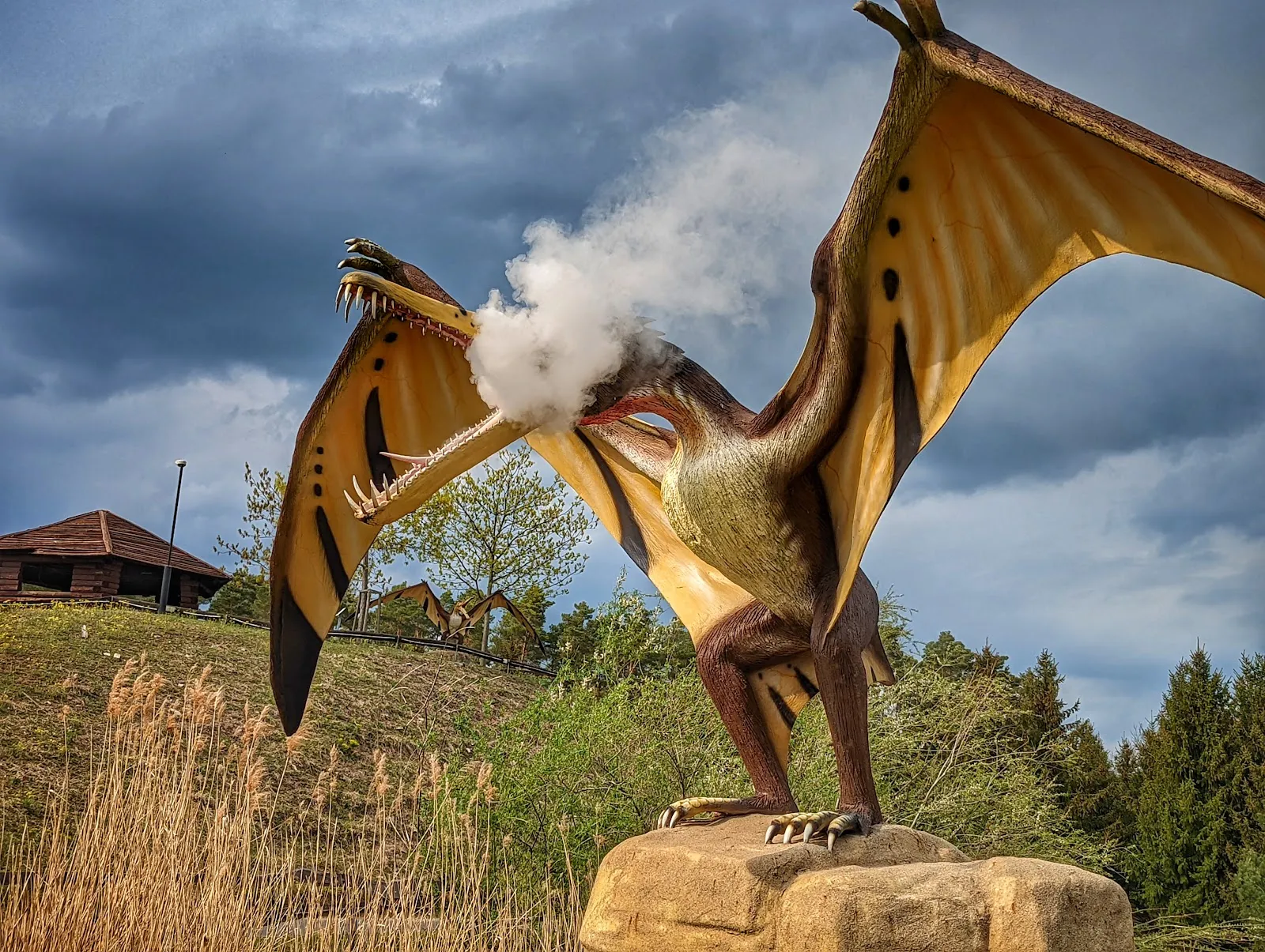 Тир, парк развлечений и парк дикой природы Гермендорф