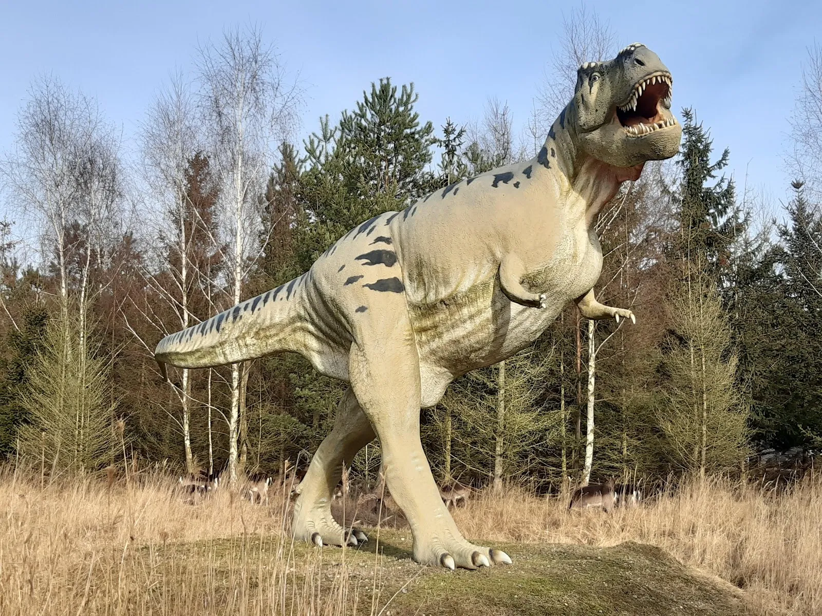 Тир, парк развлечений и парк дикой природы Гермендорф