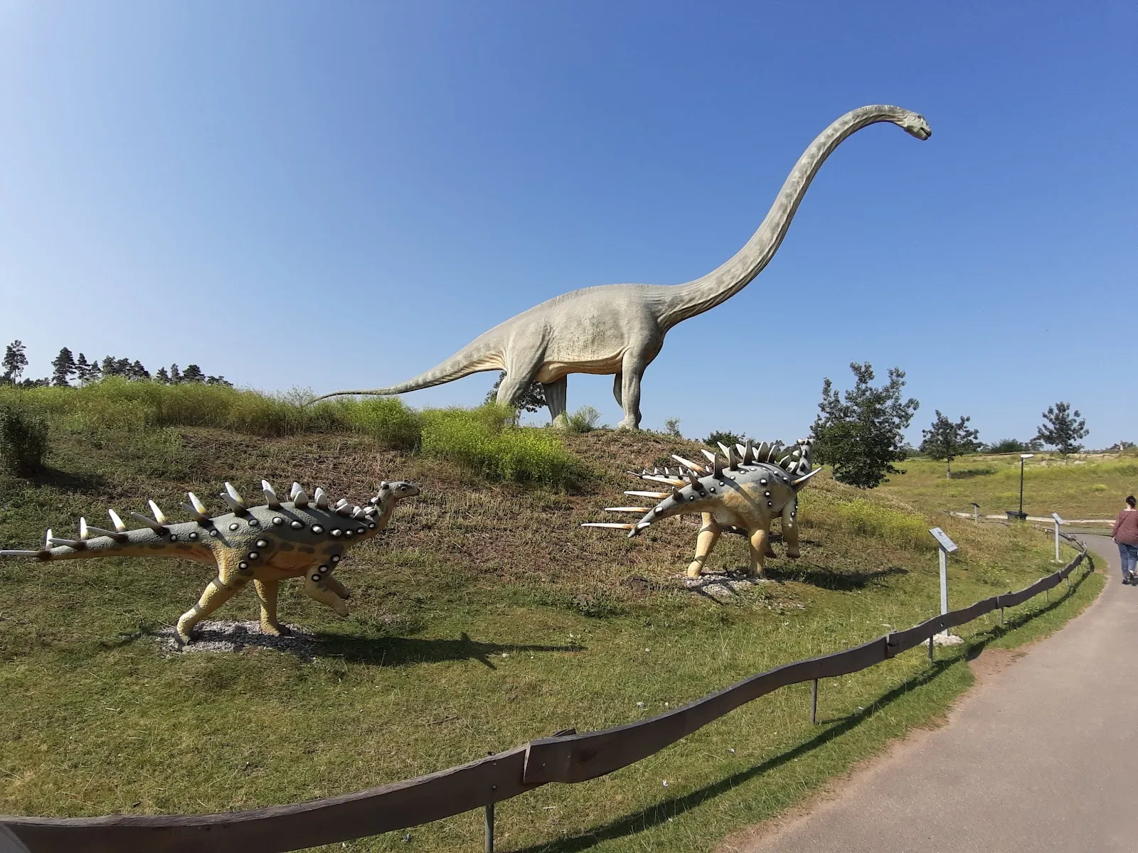 Тир, парк развлечений и парк дикой природы Гермендорф