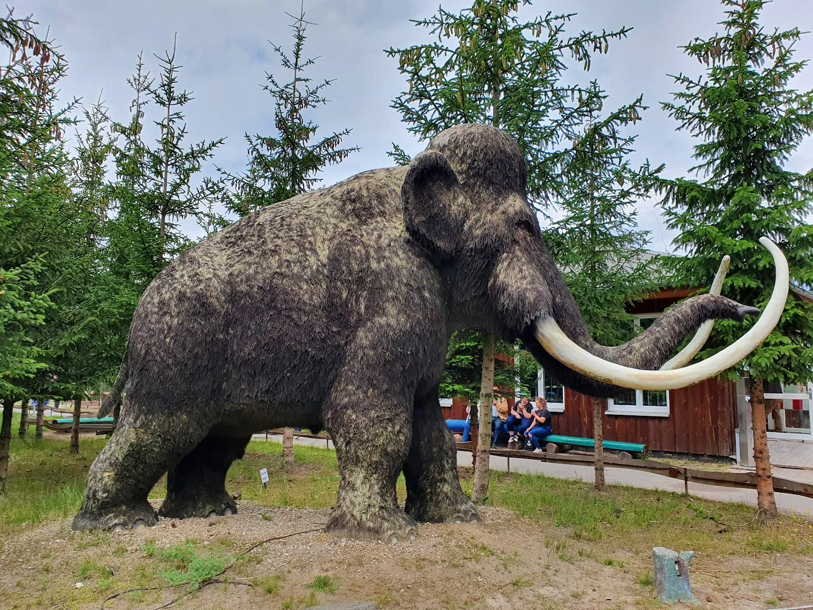 Тир, парк развлечений и парк дикой природы Гермендорф