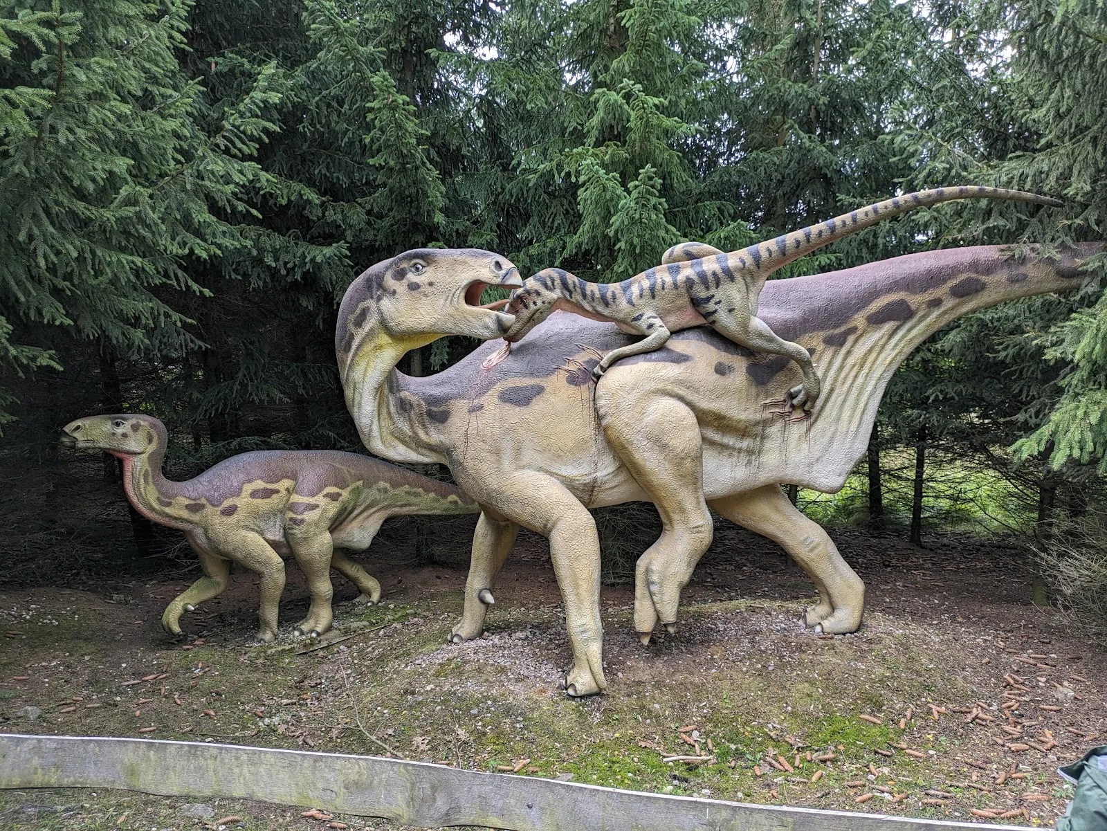 Тир, парк развлечений и парк дикой природы Гермендорф