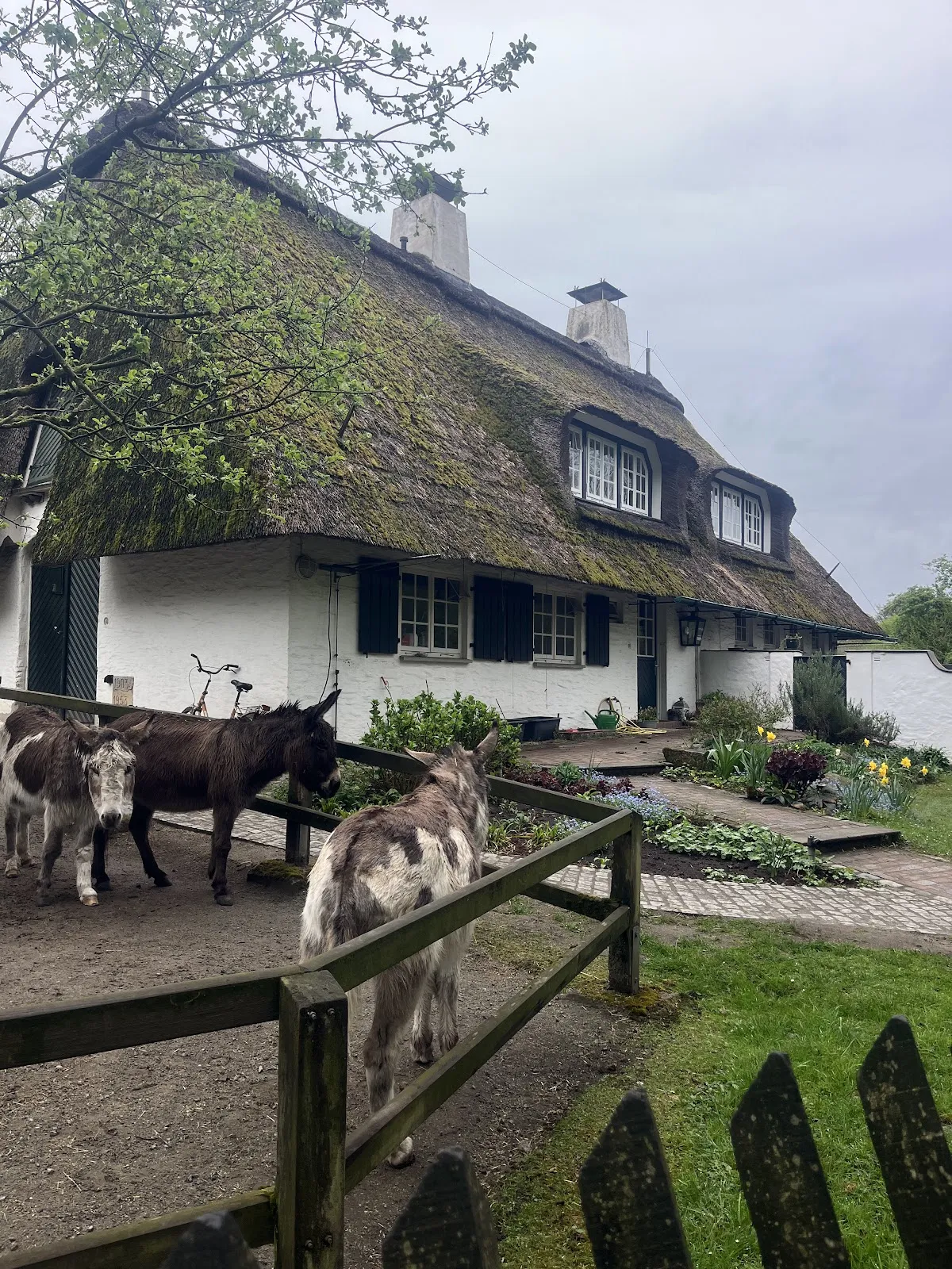 Парк Тиргехеге в Бремене, Германия