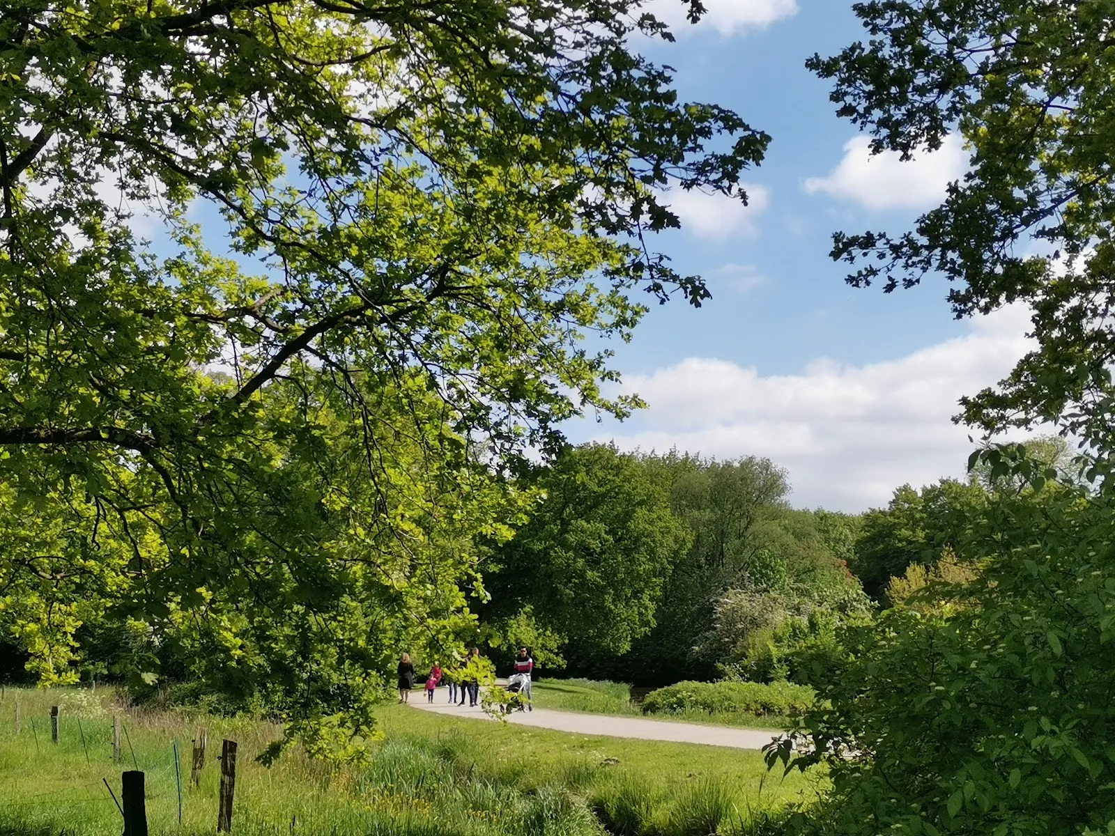 Парк Тиргехеге в Бремене, Германия