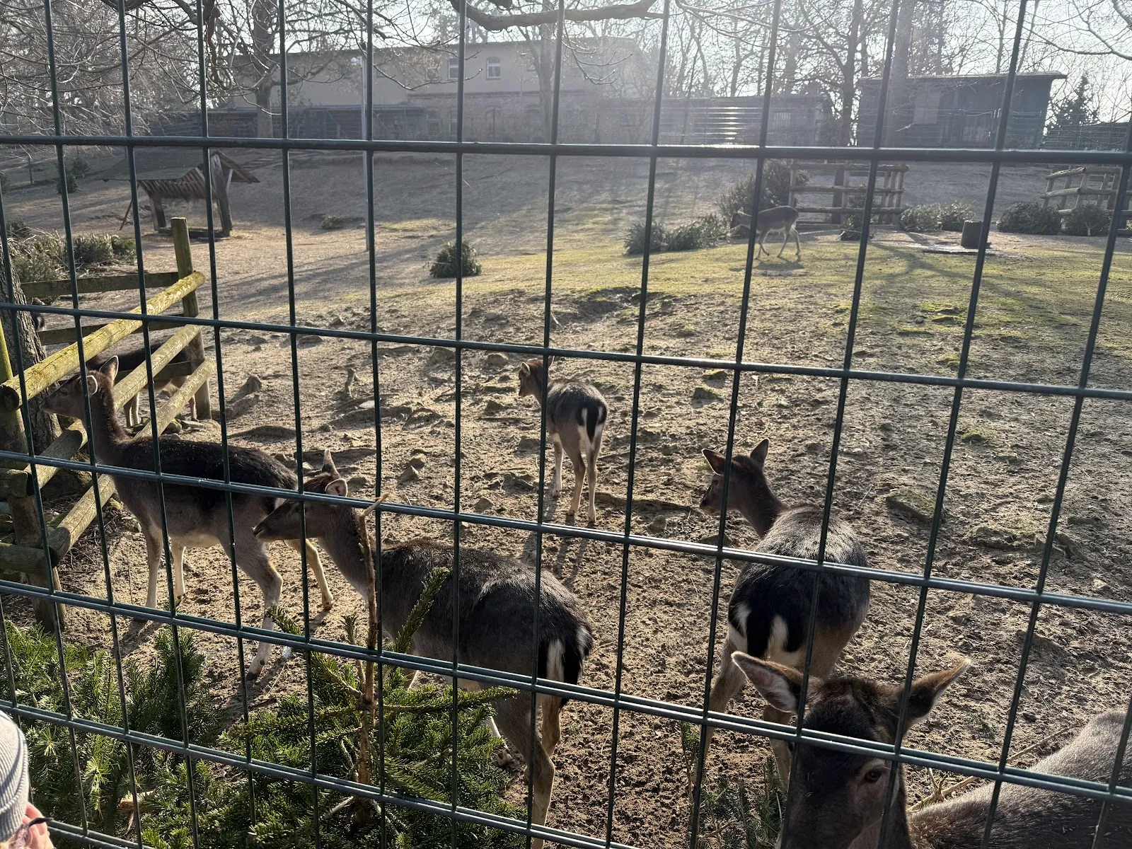 Тирпарк Нойкёльн, Берлин