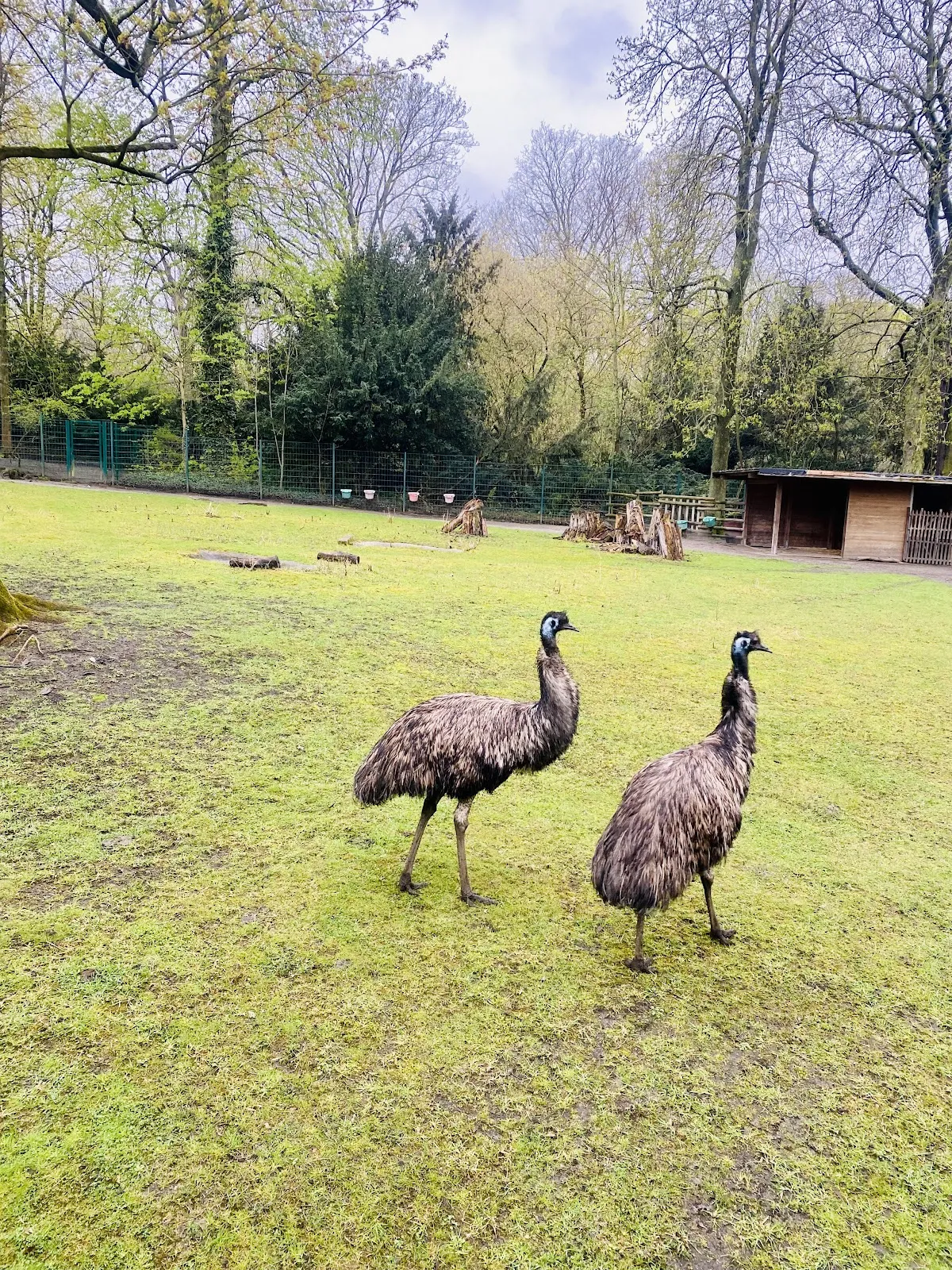 Тирпарк Нойкёльн, Берлин
