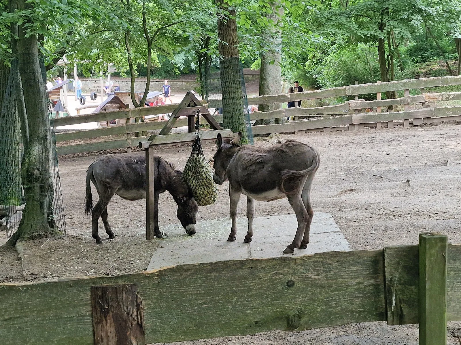 Тирпарк Нойкёльн, Берлин