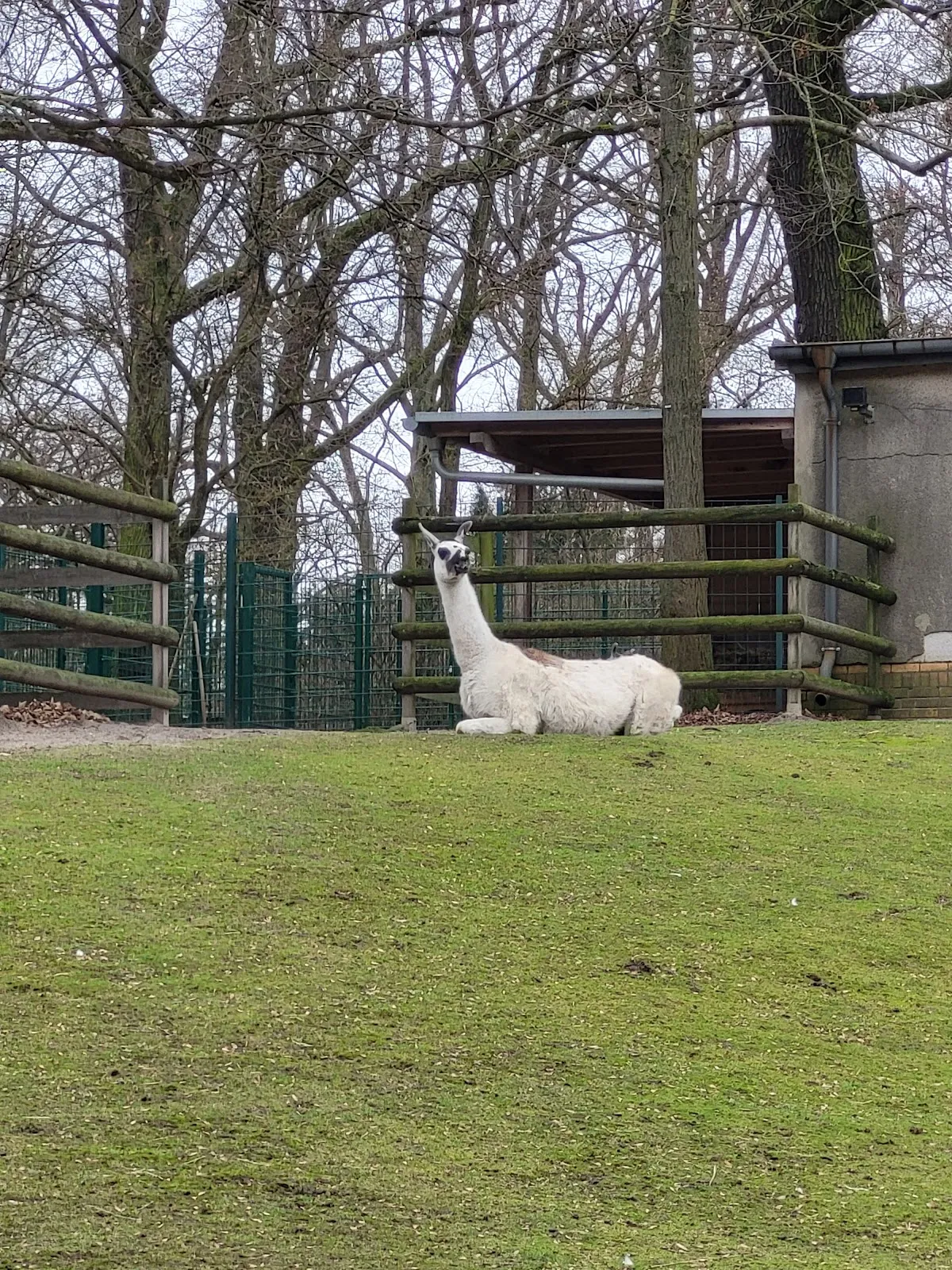 Тирпарк Нойкёльн, Берлин