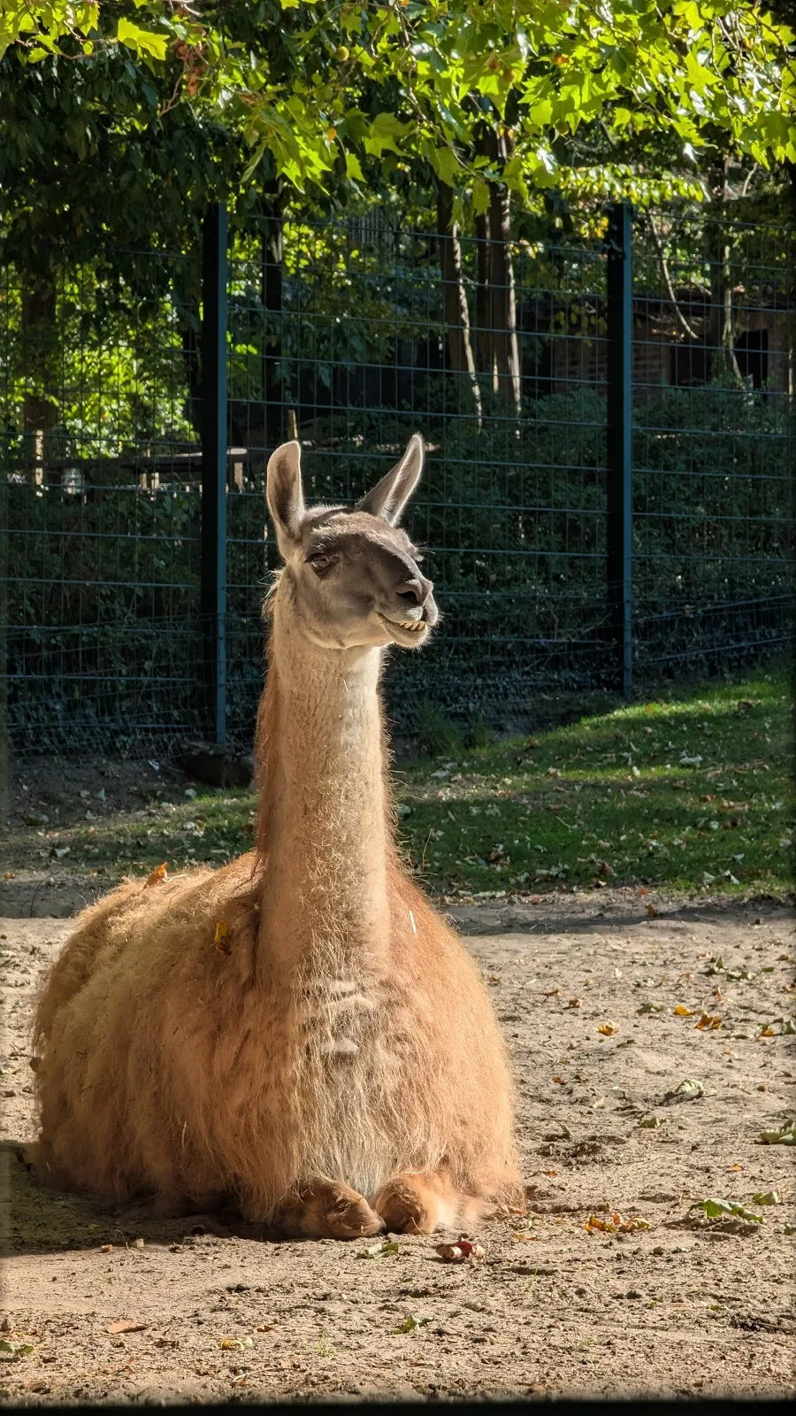 Тирпарк Нойкёльн, Берлин