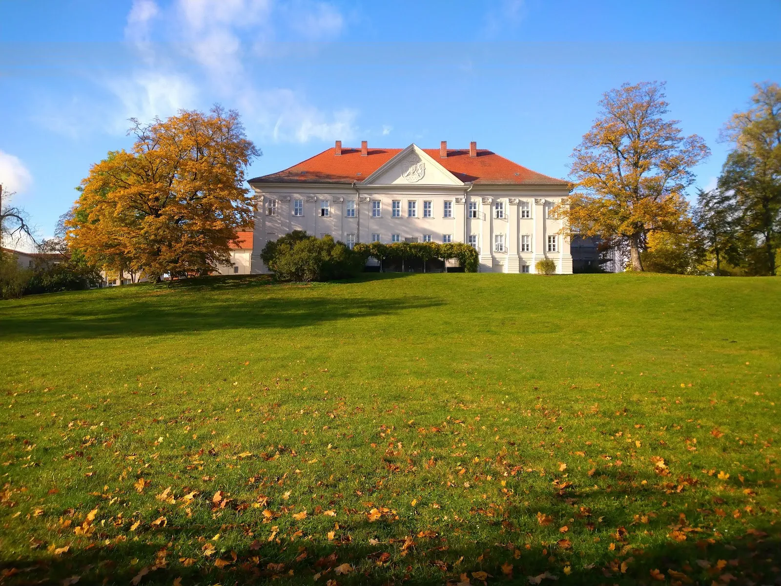 Толлензезе