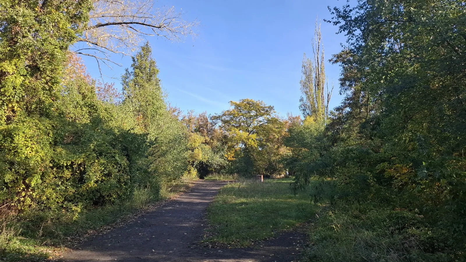 Тополиное плато