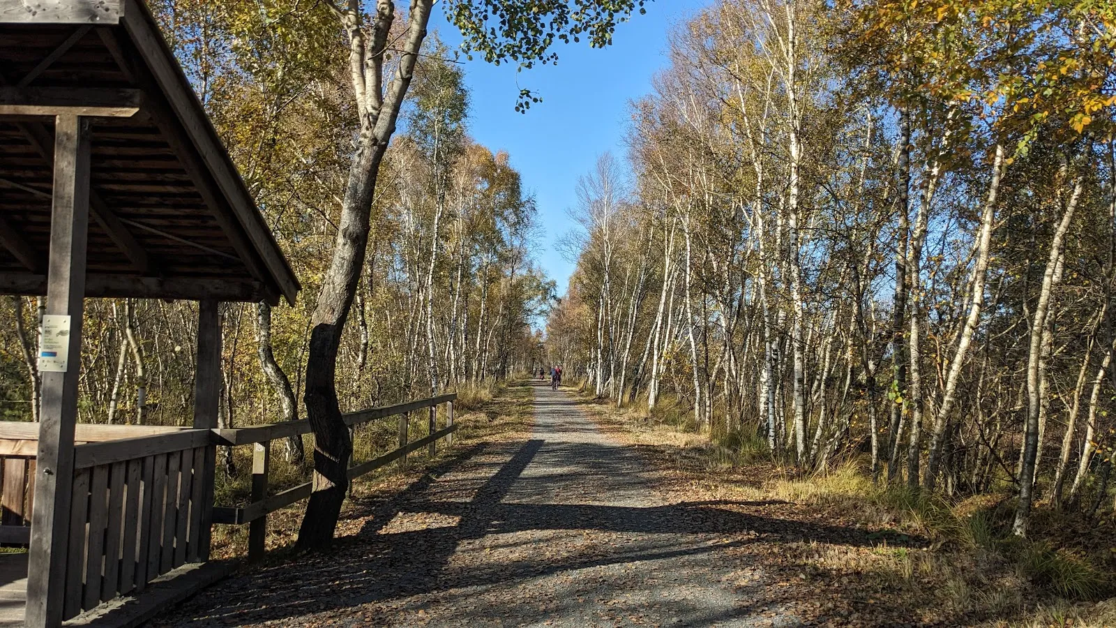 Торфяные карьеры