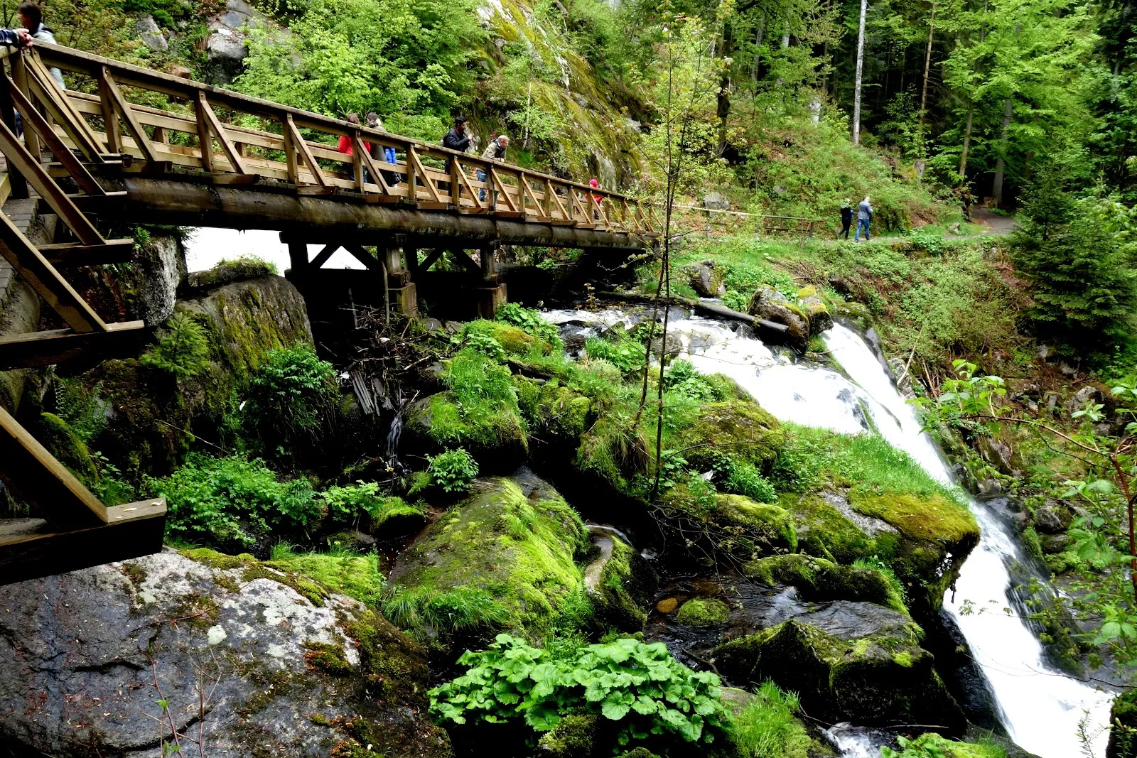 Вид на Трибергский водопад в Германии