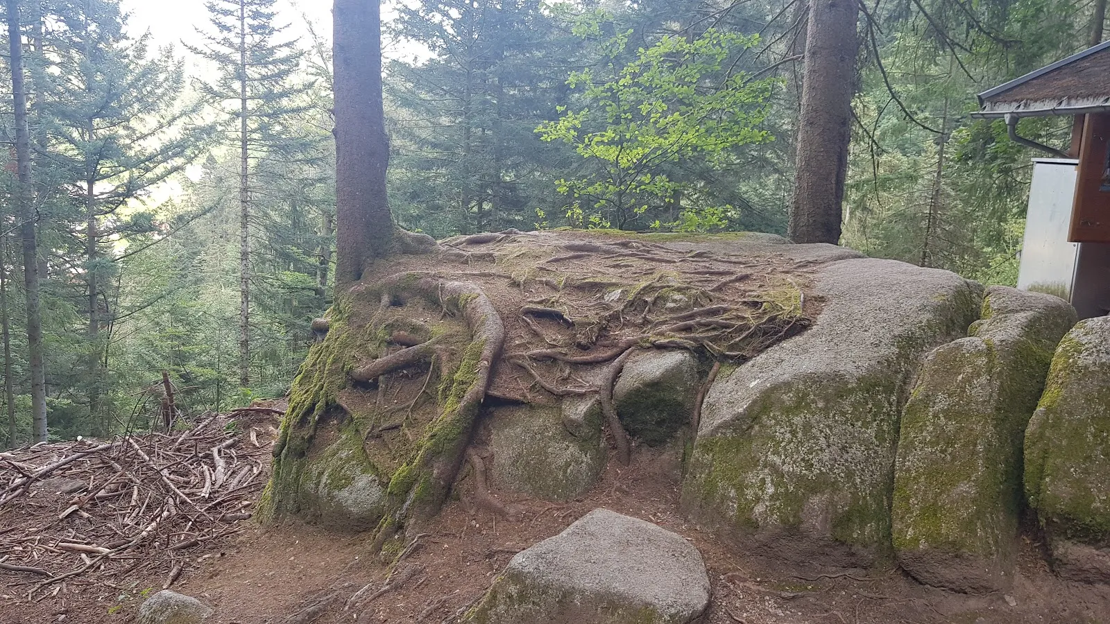 Вид на Трибергский водопад в Германии