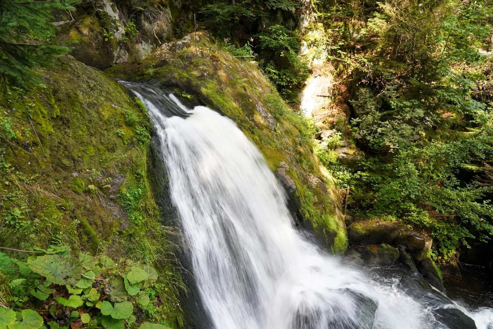 Вид на Трибергский водопад в Германии