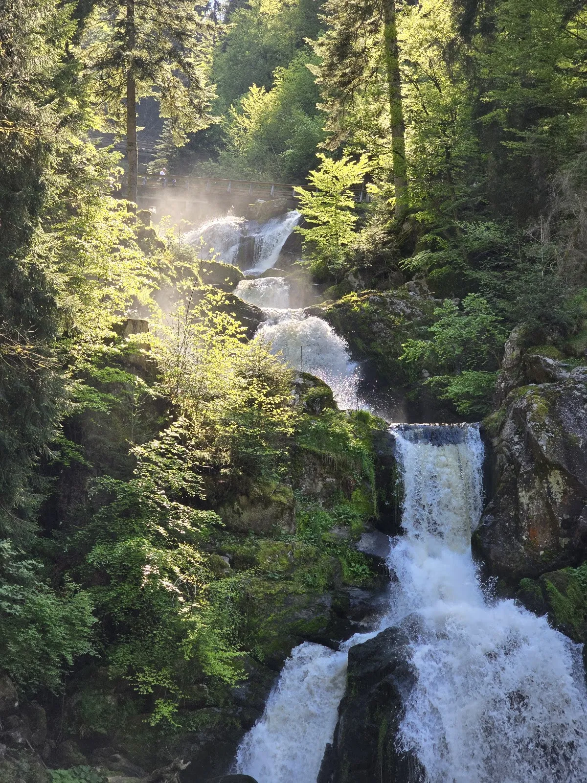 Вид на Трибергский водопад в Германии