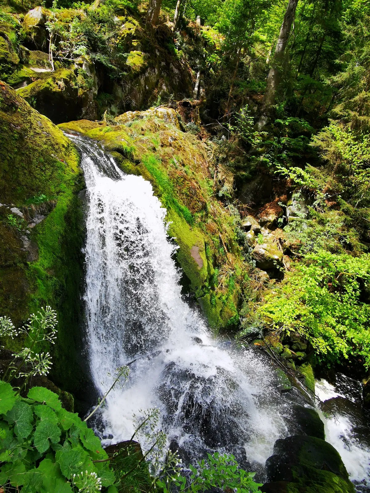 Вид на Трибергский водопад в Германии
