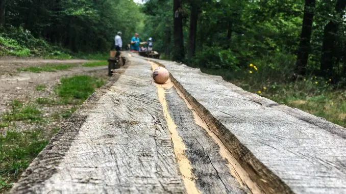 Тропа Дюннбах с «Шариковыми дорожками»