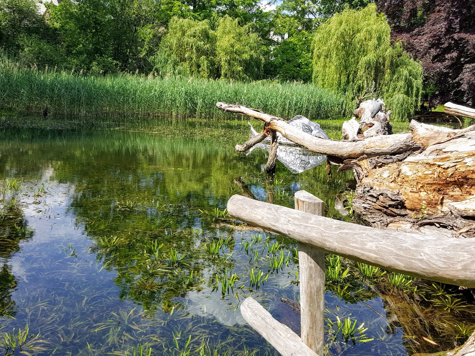 Тропа Гримм-Дих