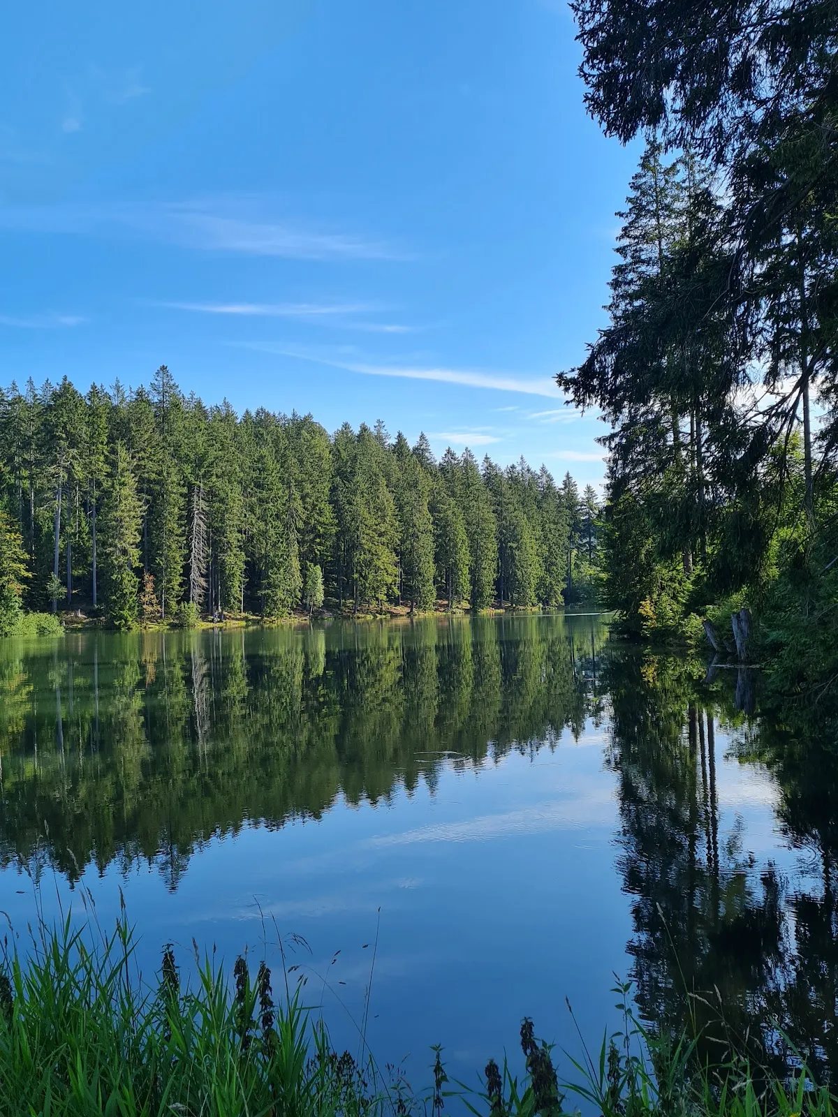 Тропа Любовных Скамей
