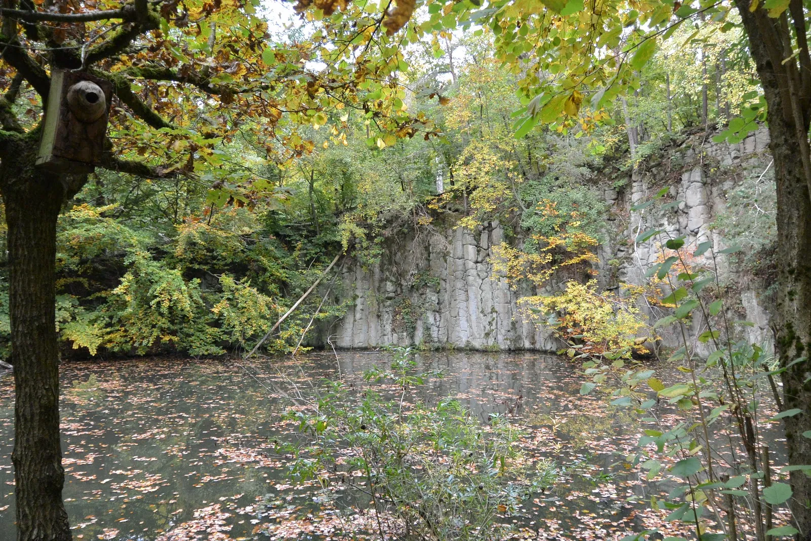 Тропа природы и культуры Хольцбург