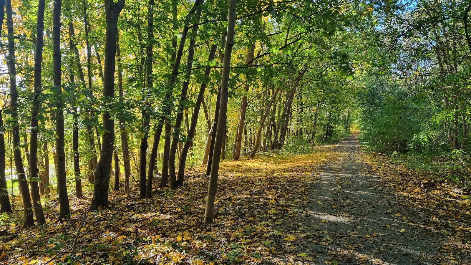Пешеходная тропа Вулеталь в Берлине