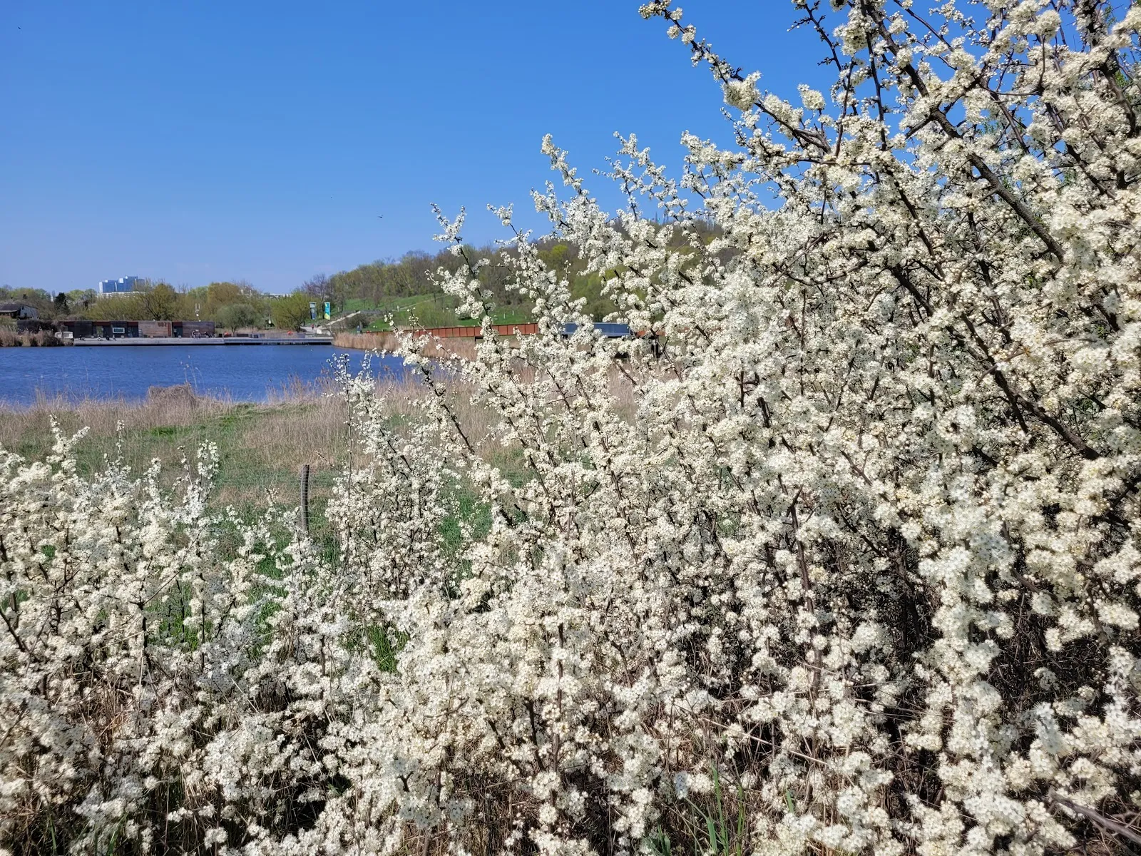 Пешеходная тропа Вулеталь в Берлине