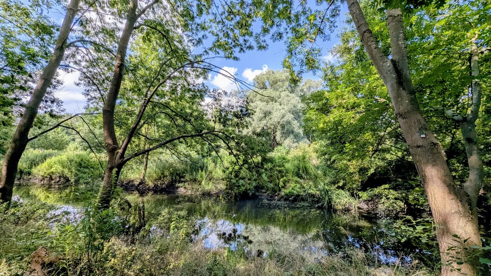 Пешеходная тропа Вулеталь в Берлине