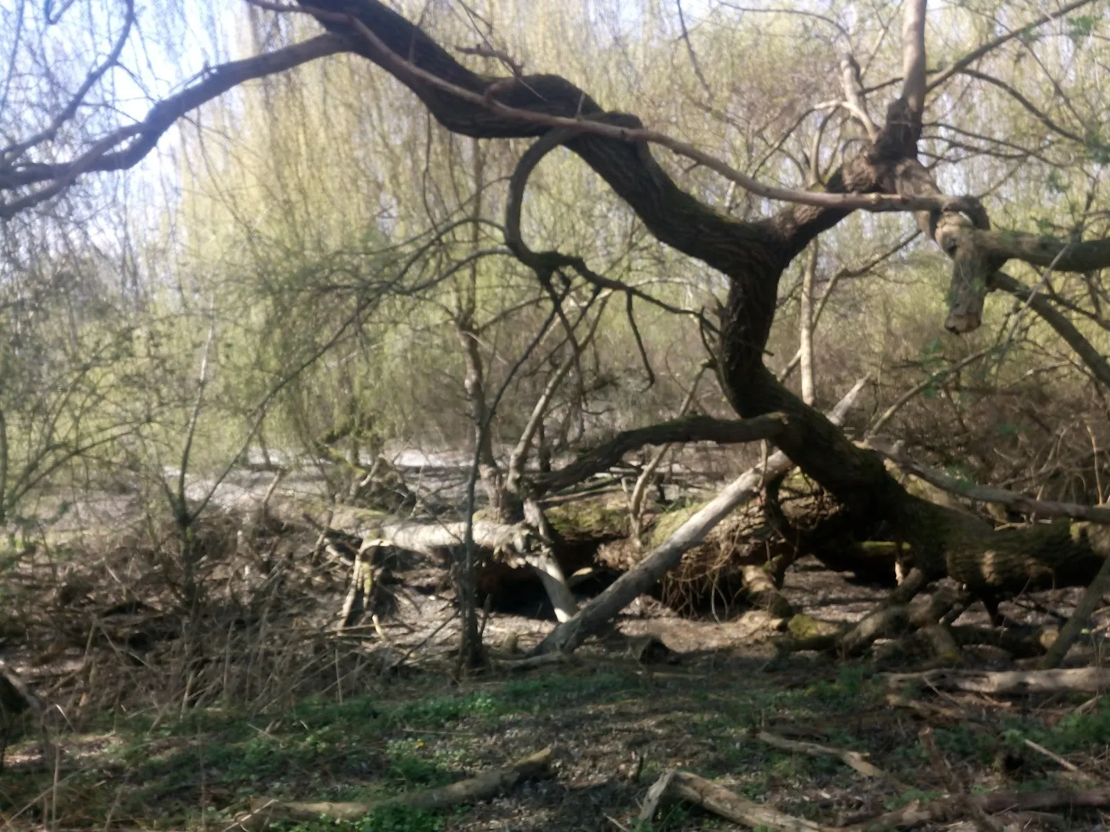 Пешеходная тропа Вулеталь в Берлине