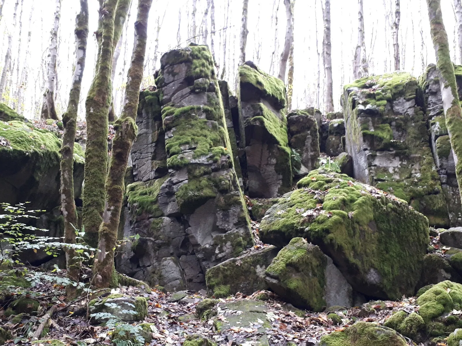 Ухуклиппен