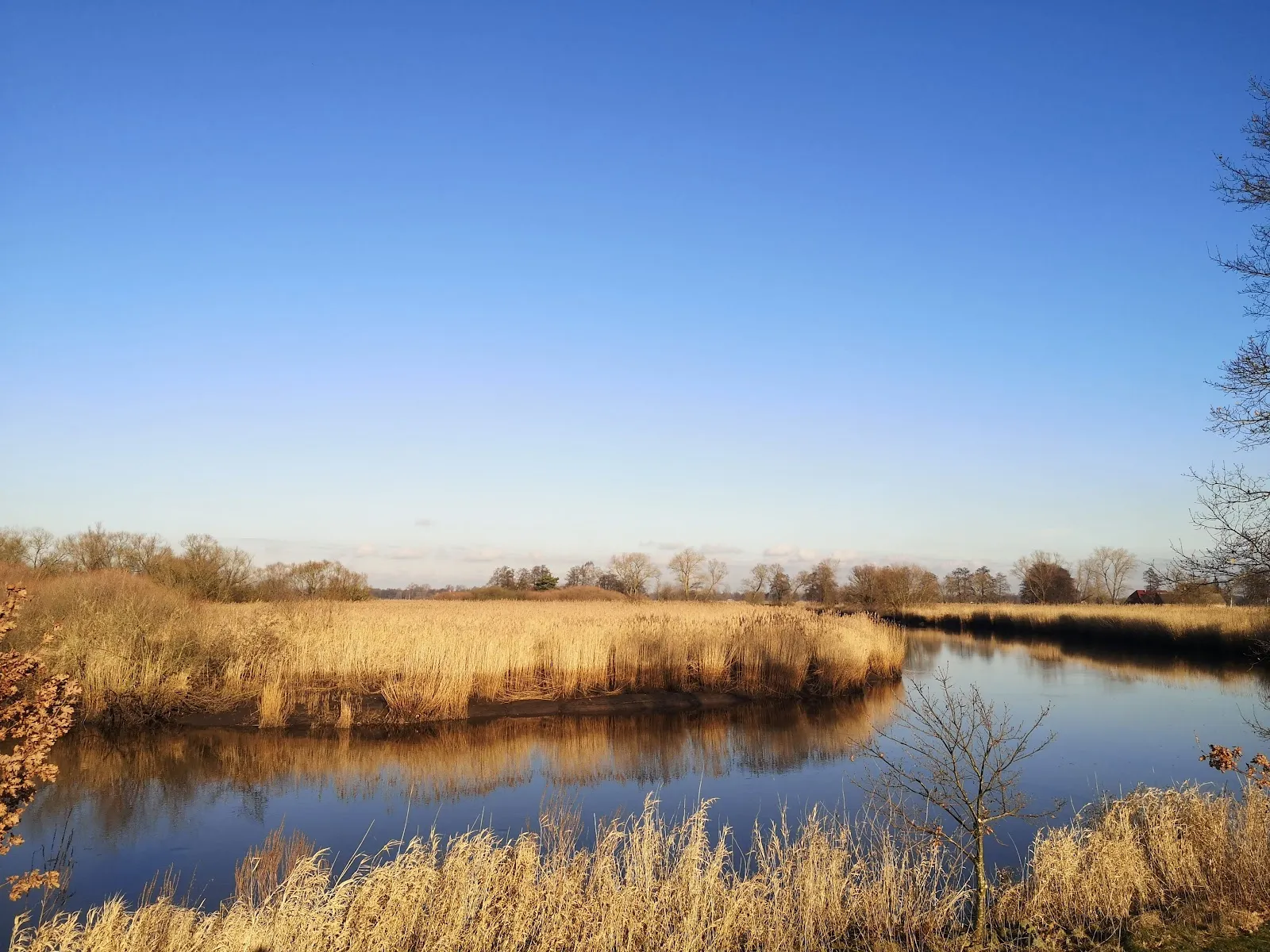 Ландшафт природного заповедника Унтере Вюмме с водоемами и растительностью