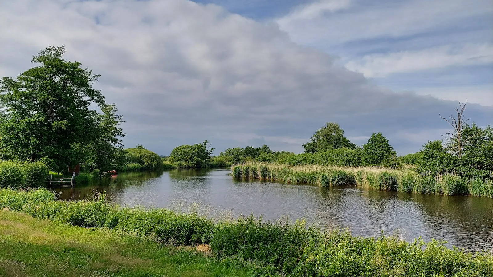 Ландшафт природного заповедника Унтере Вюмме с водоемами и растительностью
