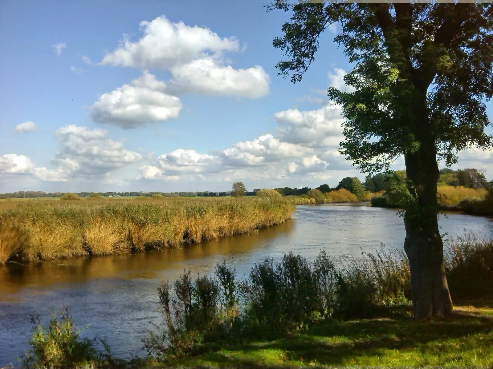 Ландшафт природного заповедника Унтере Вюмме с водоемами и растительностью