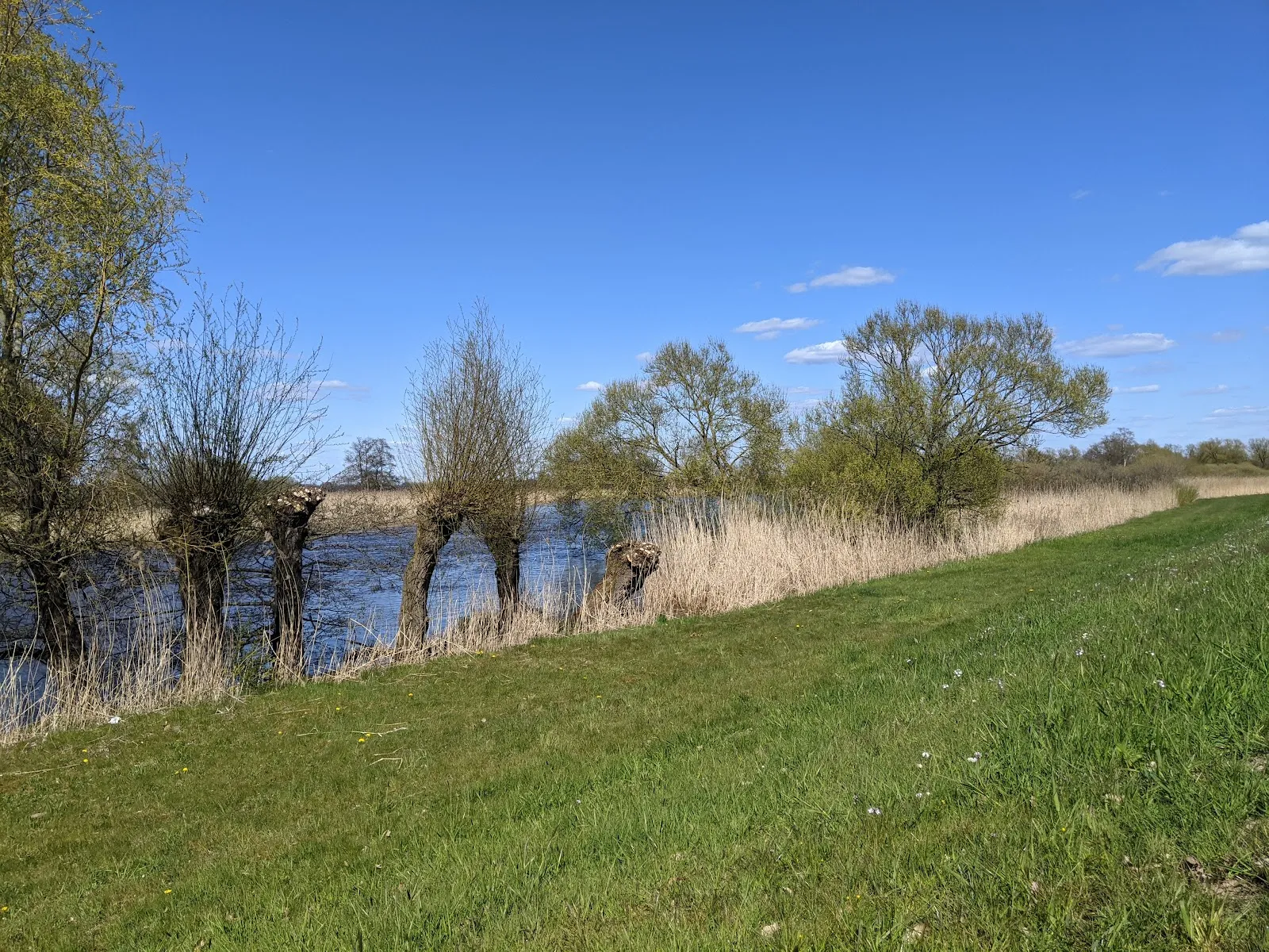 Ландшафт природного заповедника Унтере Вюмме с водоемами и растительностью