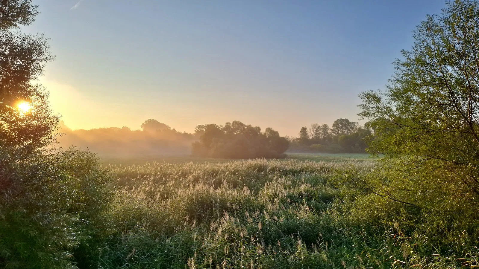 Ландшафт природного заповедника Унтере Вюмме с водоемами и растительностью