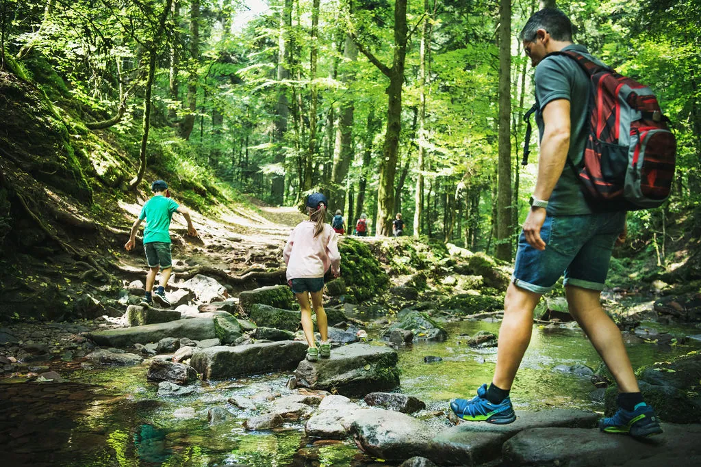 Ущелье Монбах