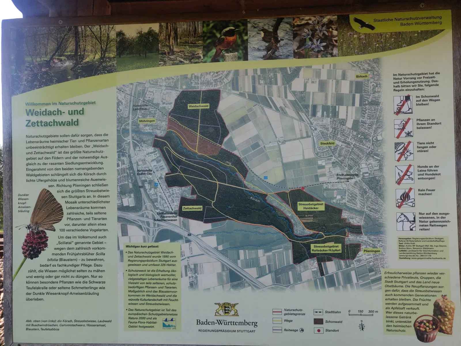 Природный пейзаж заповедника Вайдах унд Цеттахвальд